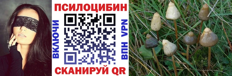 Галлюциногенные грибы мухоморы  Купить закладки  Артём
